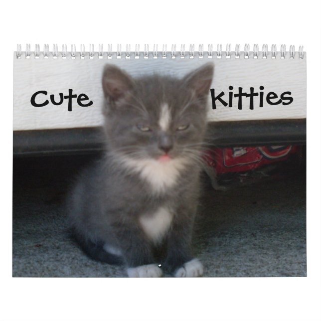 CUADRAR calendario de KITTIES (Tapa)