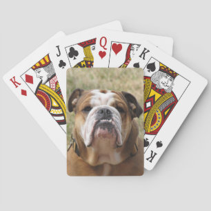 Cuadrícula de cartas de juego en bulldog inglés