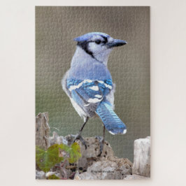Cuadrillo de Jay azul en el rompecabezas de Treest