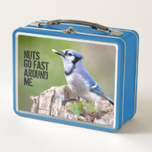 Cuadrillo de Jay azul en Treestump