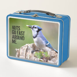 Cuadrillo de Jay azul en Treestump