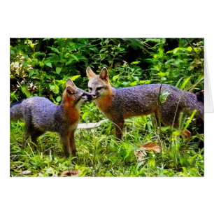 CUAL EL PADRE, TAL EL HIJO