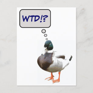 ¿Cuál es la tarjeta postal divertida del Duck WTD?