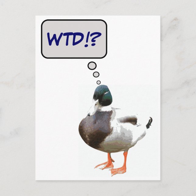 ¿Cuál es la tarjeta postal divertida del Duck WTD? (Anverso)