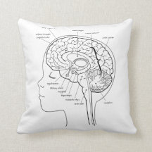 Cuál está en su almohada del cerebro