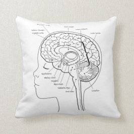 Cuál está en su almohada del cerebro