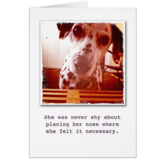 ¿Cuál está para arriba?