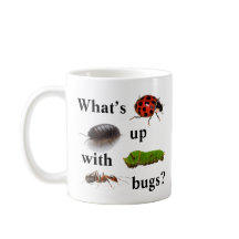 ¿Cuál está para arriba con los insectos? taza