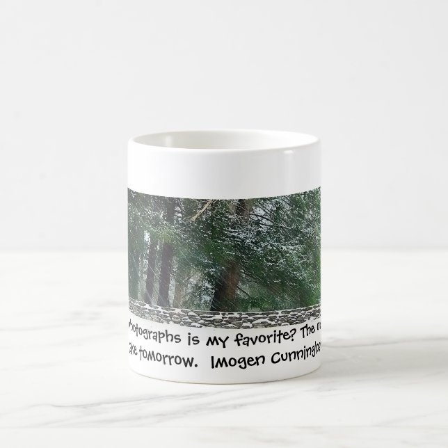 ¿Cuál…? Taza (Centro)