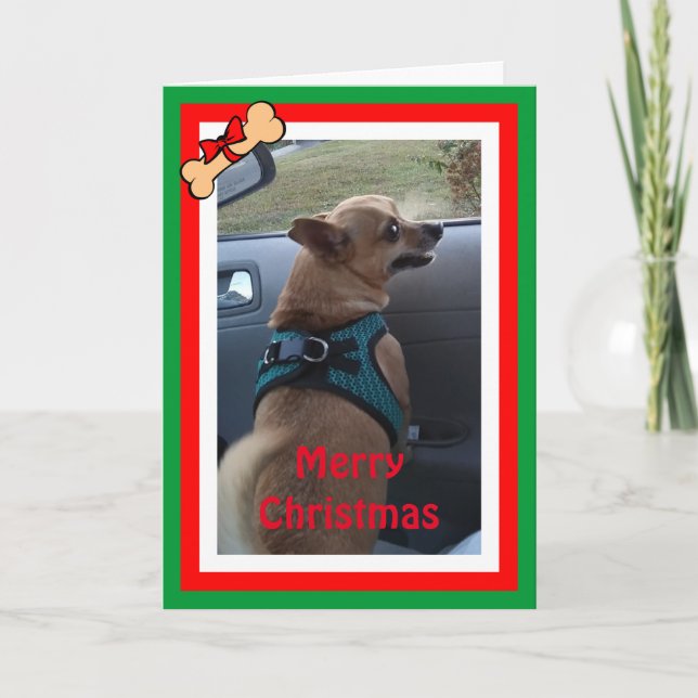 Cualquier Navidad de fotos de perro/tarjeta de vac (Anverso)