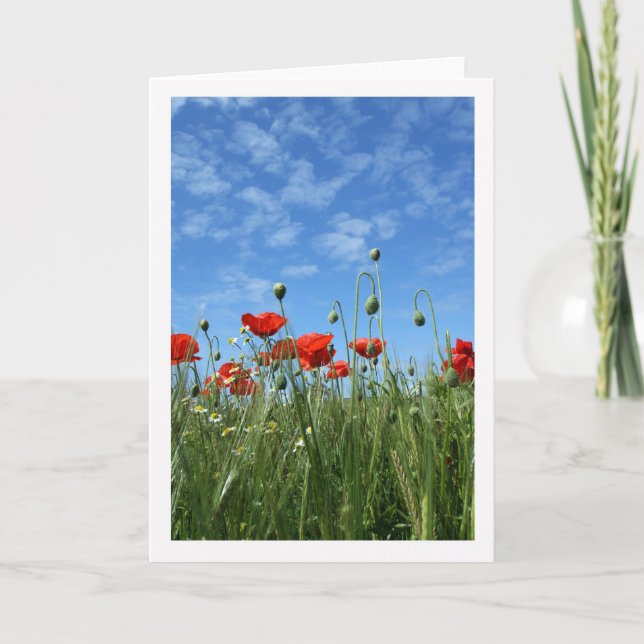 Cualquier Ocasión - Tarjeta De Nota - Poppies Rojo (Anverso)