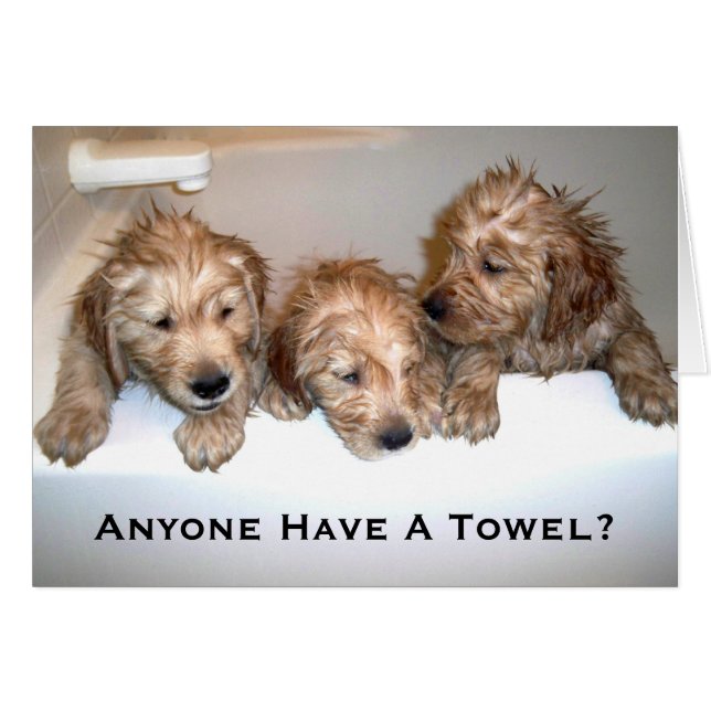 ¿Cualquier persona tiene una toalla? (Anverso (Horizontal))