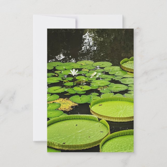 Cualquier tarjeta de ocasión (Anverso)