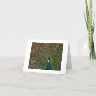 Cualquier tarjeta de ocasión