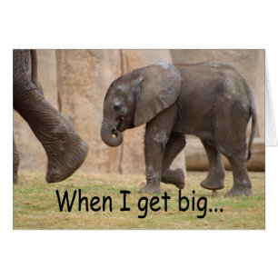 Cuando consigo grande…