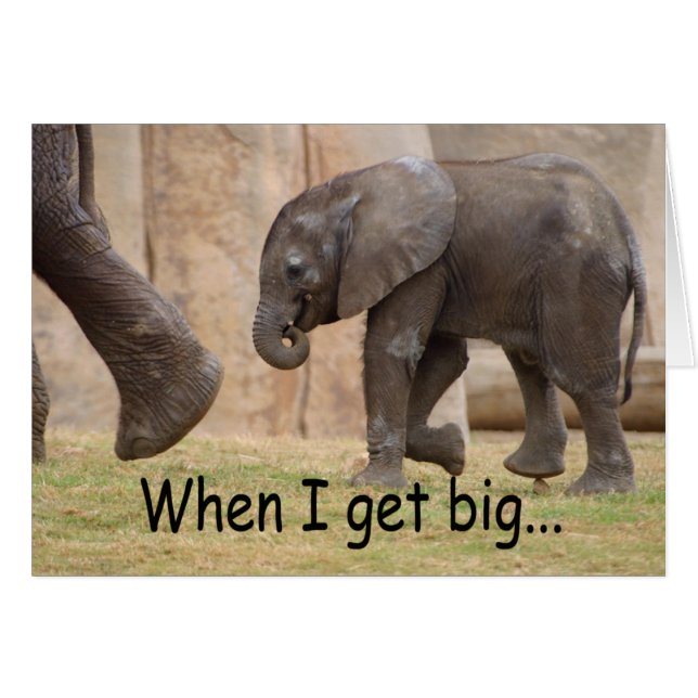 Cuando consigo grande… (Anverso (Horizontal))