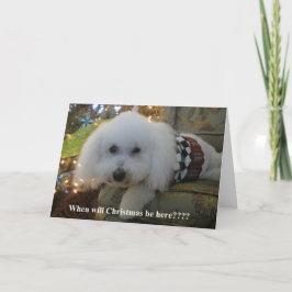 ¿"Cuándo el navidad estará aquí?? "