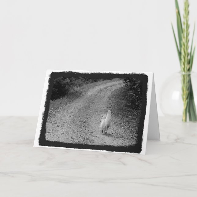 Cuando es la tarjeta de simpatía por el tiempo (Anverso)