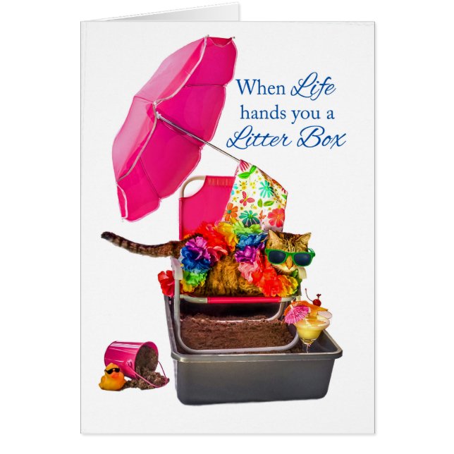 Cuando la vida le da la caja de arena gato (Frente)