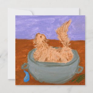 Cuando las brujas no parecen