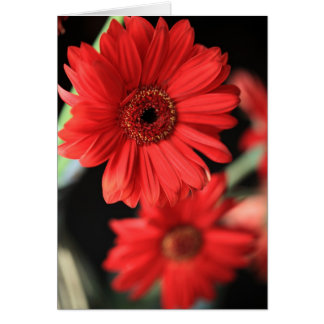 Cuando tuve una aventura