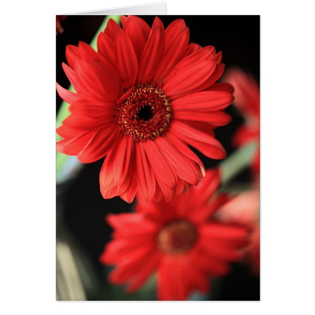 Cuando tuve una aventura (Frente)