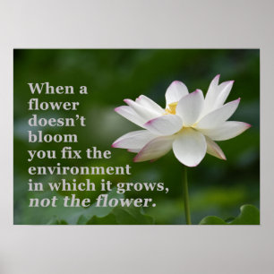 Cuando una Flor no Florece Póster
