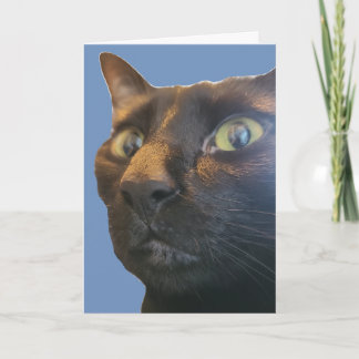 ¿Cuántos años tienes? Tarjeta de Feliz Cumpleaños