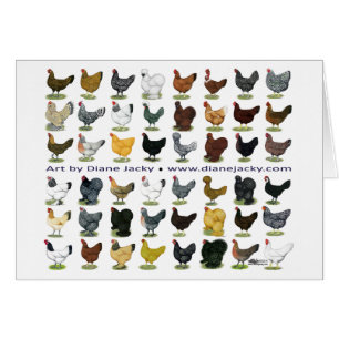 Cuarenta y ocho promos de la gallina