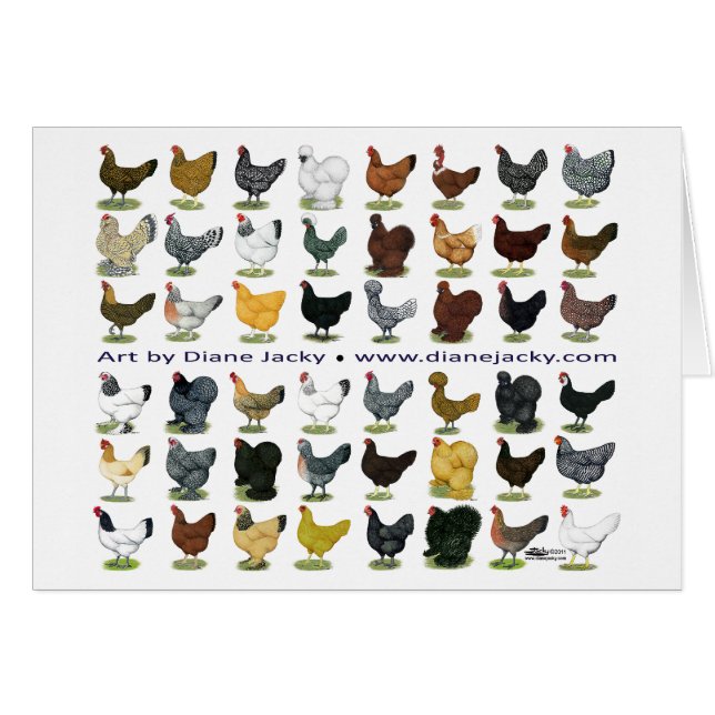 Cuarenta y ocho promos de la gallina (Anverso (Horizontal))