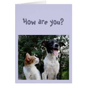 Cuarentena divertida es todo el mundo que se moles