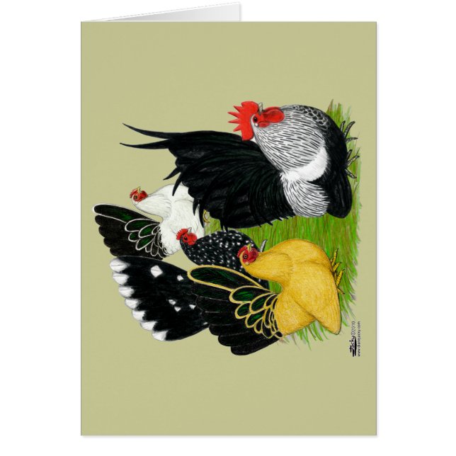 Cuarteto Bantam japonés (Frente)