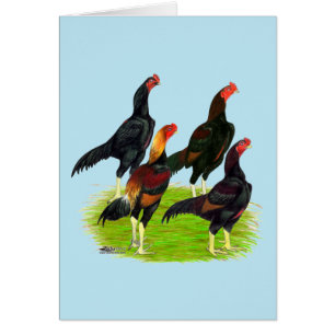 Cuarteto de aves de caza oriental