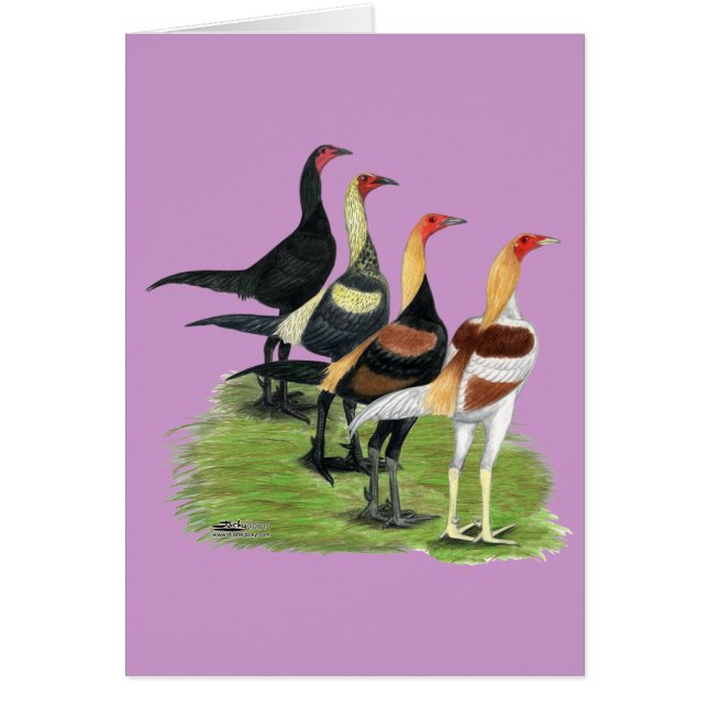 Cuarteto de juego moderno (Frente)