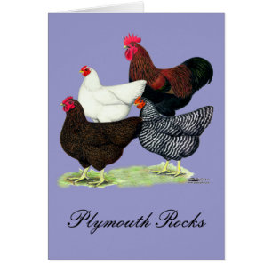 Cuarteto de la Roca Plymouth