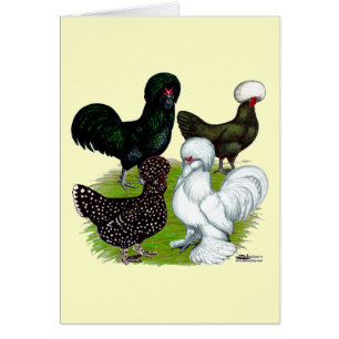 Cuarteto de pollo con sombrero superior