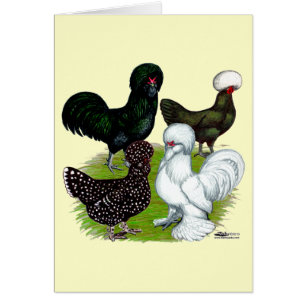 Cuarteto de pollo con sombrero superior