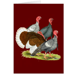 Cuarteto de Turquía poco común