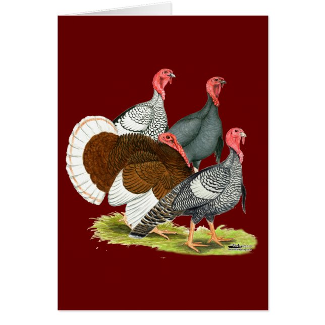 Cuarteto de Turquía poco común (Frente)