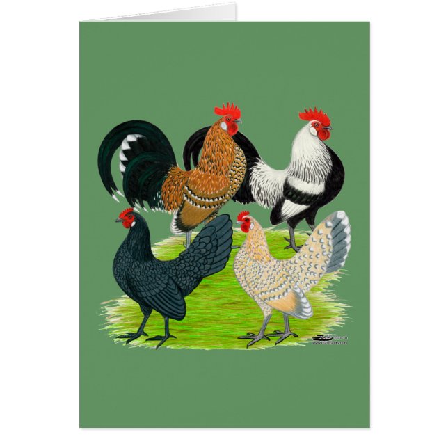 Cuarteto holandés Bantam (Frente)