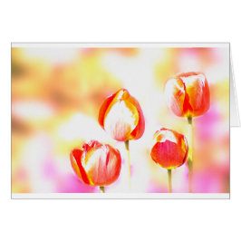 Cuarteto rojo del tulipán