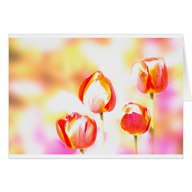 Cuarteto rojo del tulipán (Anverso (Horizontal))