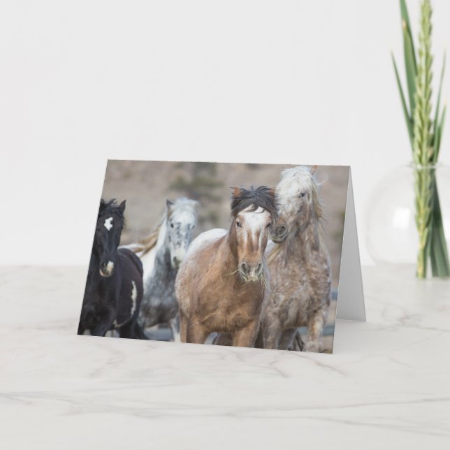 Cuatro Adóbicos - Tarjeta de felicitación Gallopin (Anverso)