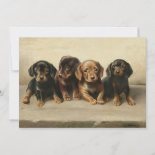 Cuatro cachorros de Dachshund   Carl Reichert