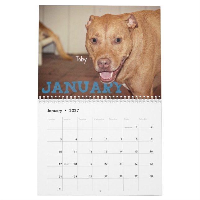 Cuatro calendario de las patas 2014 (Jan 2027)