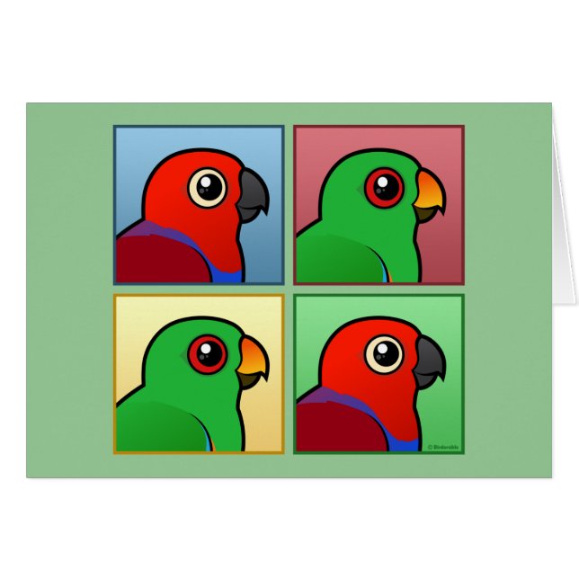Cuatro color Eclectus (Anverso (Horizontal))