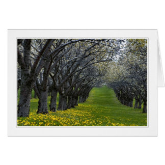 cuatro estaciones en tarjeta michigan 02