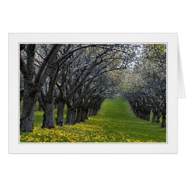 cuatro estaciones en tarjeta michigan 02 (Anverso (Horizontal))