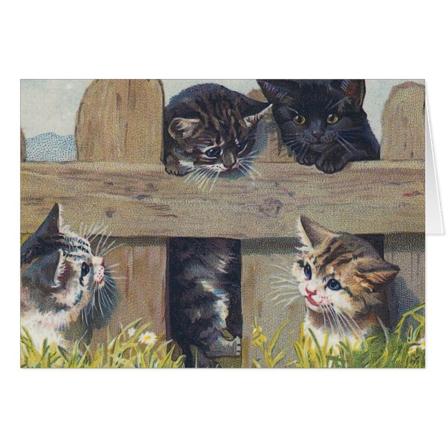 Cuatro gatitos tocando Ilustracion vintage (Anverso (Horizontal))