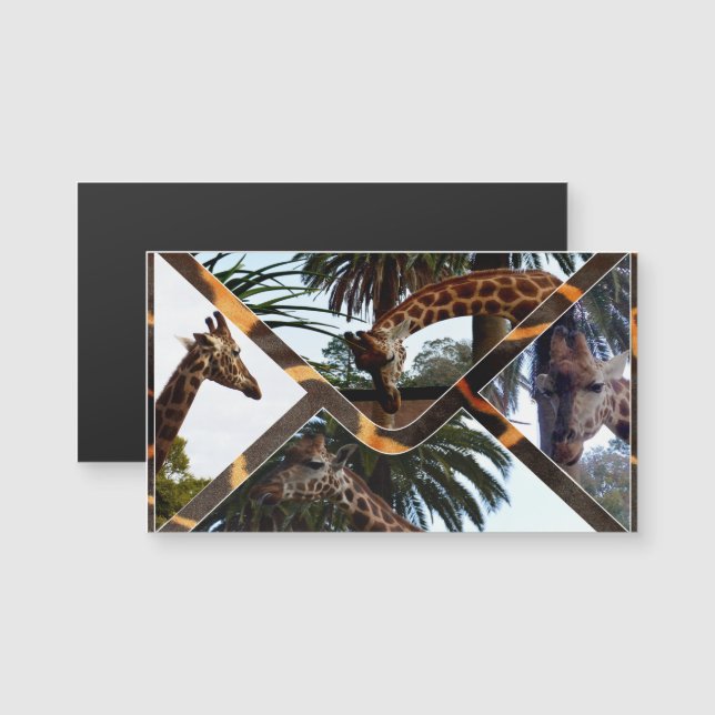 Cuatro Girafas Sobre Una Girafa, (Anverso/Reverso)
